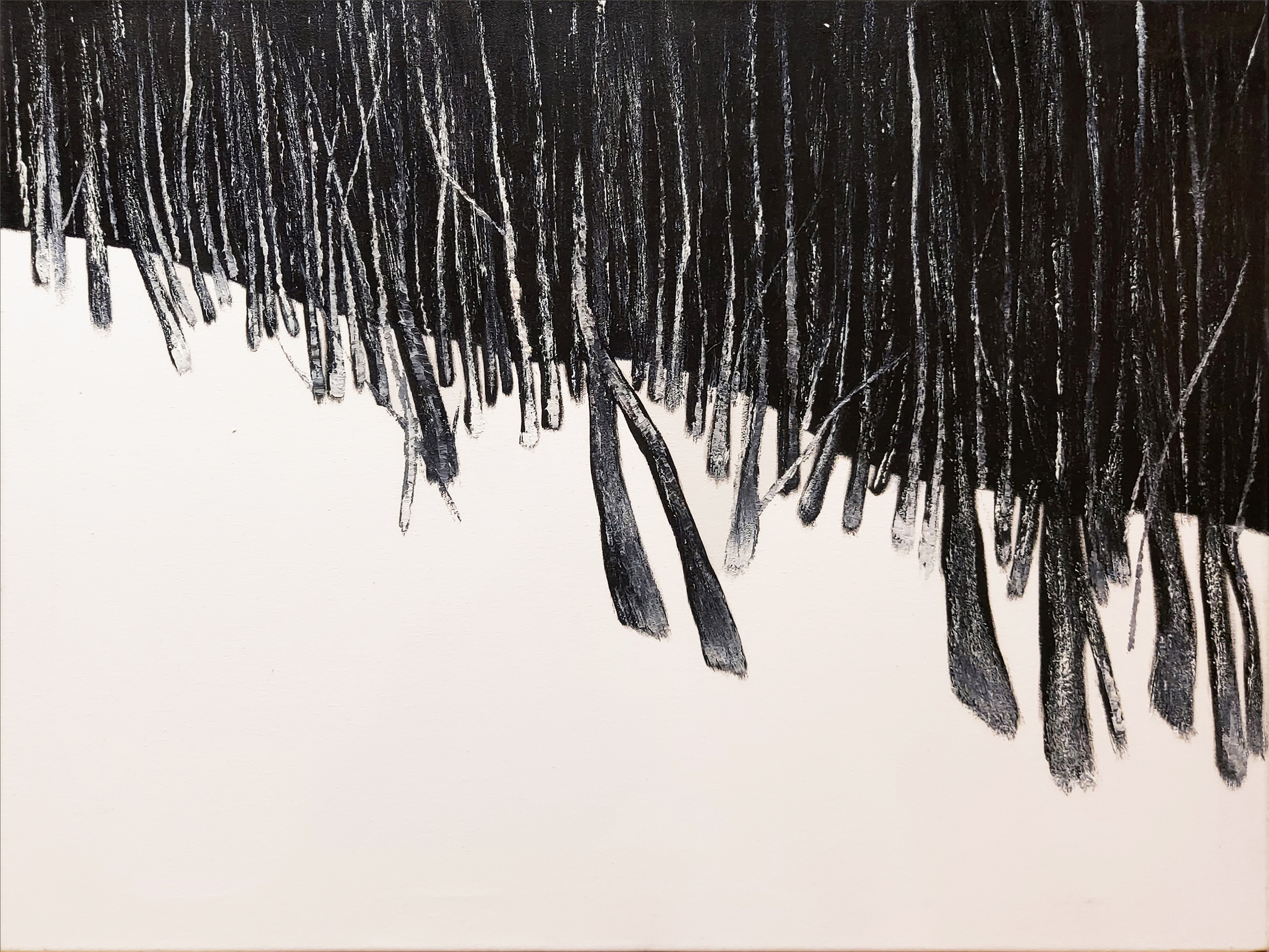 Zimowy las &mdash; Karolina Jarosławska